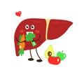 Healthy liver in vegetables on a white background. Cartoon.